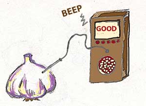 detecting good garlic bulbs